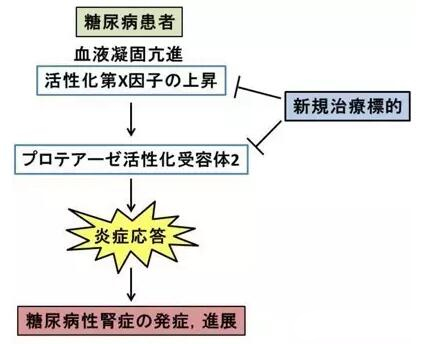 赴日就醫(yī)，厚樸方舟