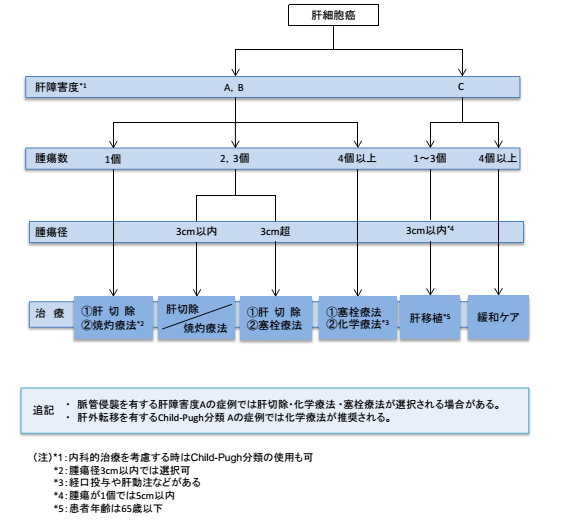 圖：肝癌治療算法