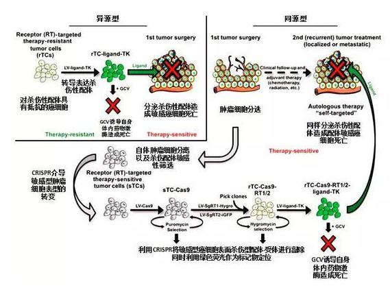 美國(guó)治療癌癥、