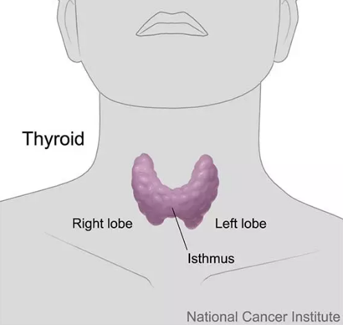 甲狀腺癌治療