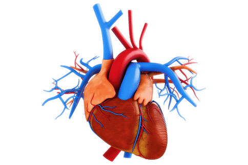 心臟病治療