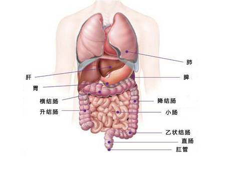 結(jié)腸癌