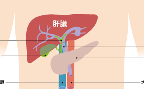 日本肝癌治療醫(yī)院