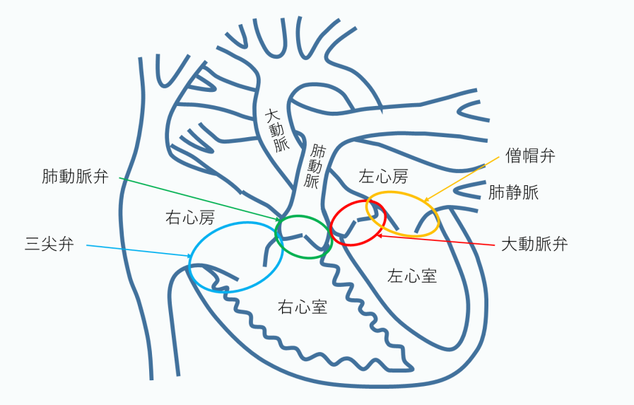 冠心病心臟康復治療