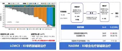 肺癌免疫治療