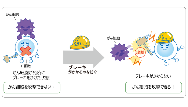 免疫檢查點抑制劑作用原理