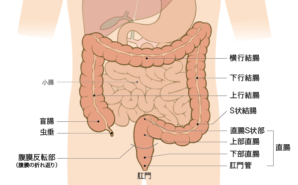 日本治療大腸癌效果好的醫(yī)院