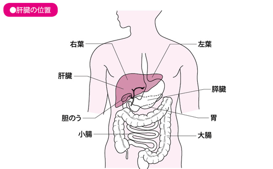 肝癌治療