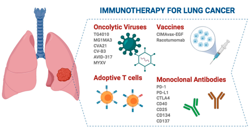 肺癌免疫治療