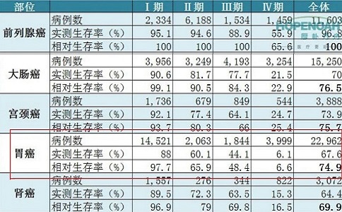 日本胃癌手術