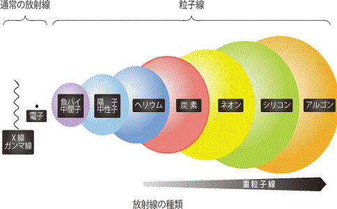 日本群馬大學(xué)醫(yī)學(xué)部附屬醫(yī)院重離子治療