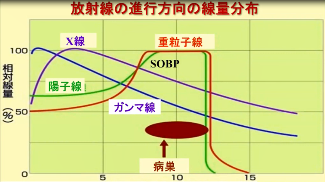 日本癌癥治療優(yōu)勢(shì)