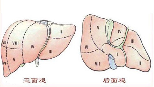 中晚期肝癌手術新輔助治療