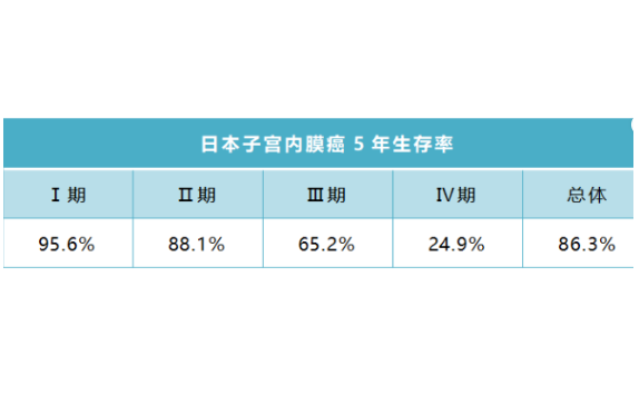 日本子宮內(nèi)膜癌治療