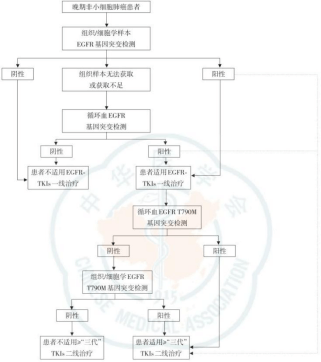 中國醫(yī)學會配圖